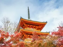 Featured image for: เจาะลึกระบบการแจ้งเบาะแสยุคใหม่ในประเทศญี่ปุ่น: สุดยอคู่มือแห่งยุคสมัย!